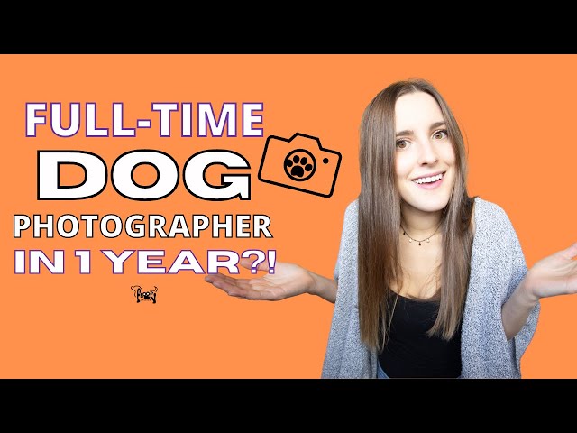 How I went FULL-TIME with my dog photography business within the FIRST YEAR! A little story about me