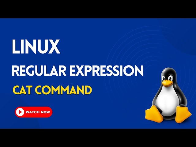 CAT Command in Linux | LINUX