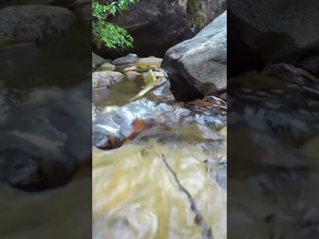 Relaxing sound of water flowing through rocks. Watch full video on my channel! #shorts #short #asmr