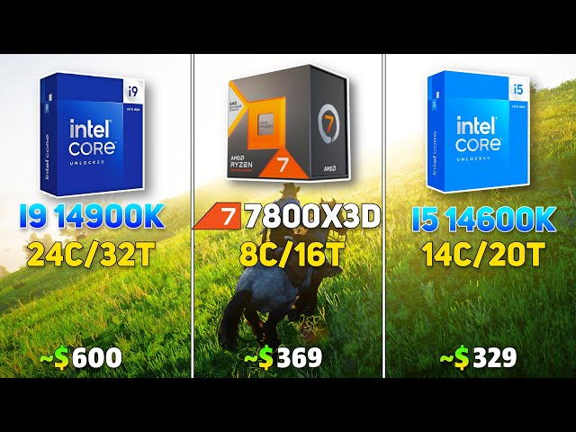 i9 14900K vs Ryzen 7800X3D vs i5 14600K - Esports Benchmark  // Test in  12 Games |