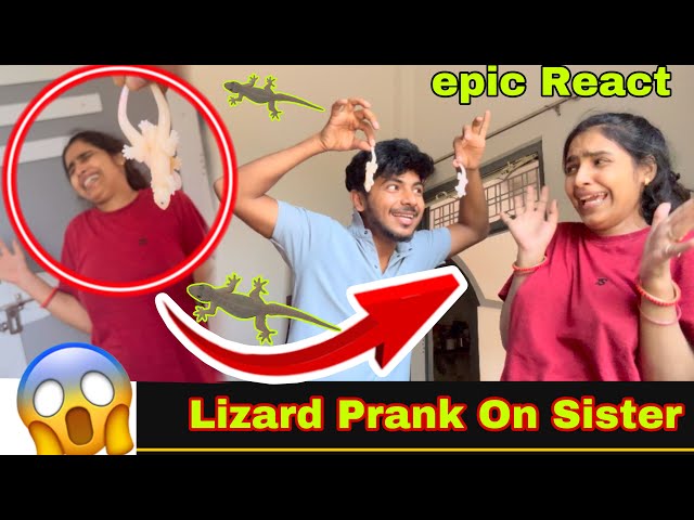 Lizard PRANK ON MY SISTER || New Prank Video || Ankush The Vlogs