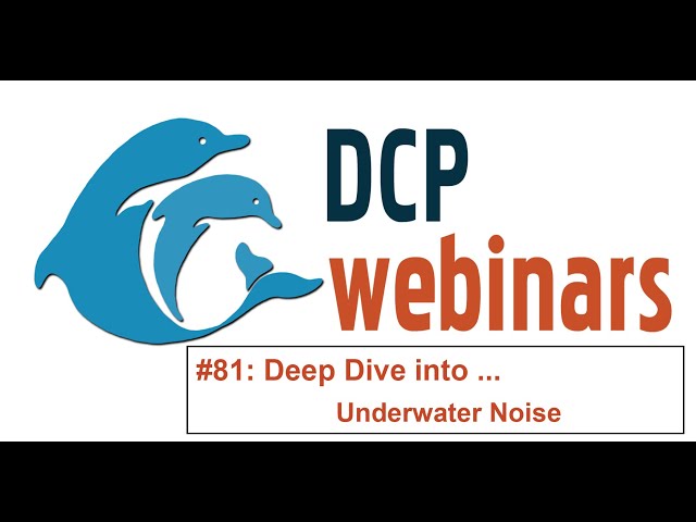 DCP Deep Dive: Quieting Noise in the Sea - Acoustic Damage to Whales and What We Can Do About It