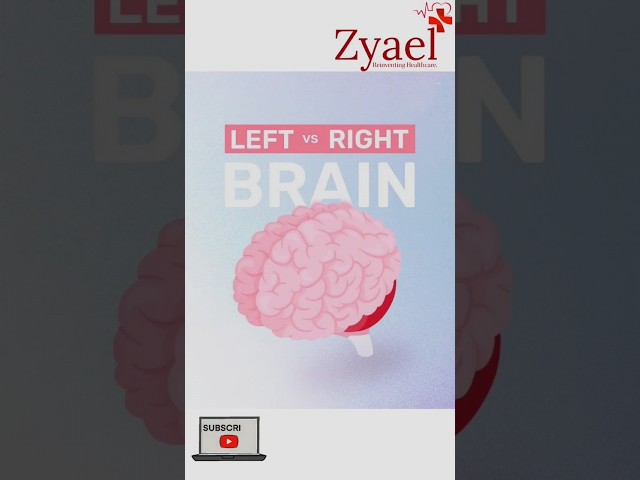 Left Brain vs Right Brain #braintest #zyaeltalks #memes #health