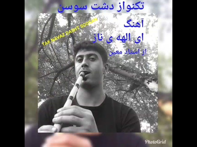 تکنواز دشت سوسن وحید سعیدی
