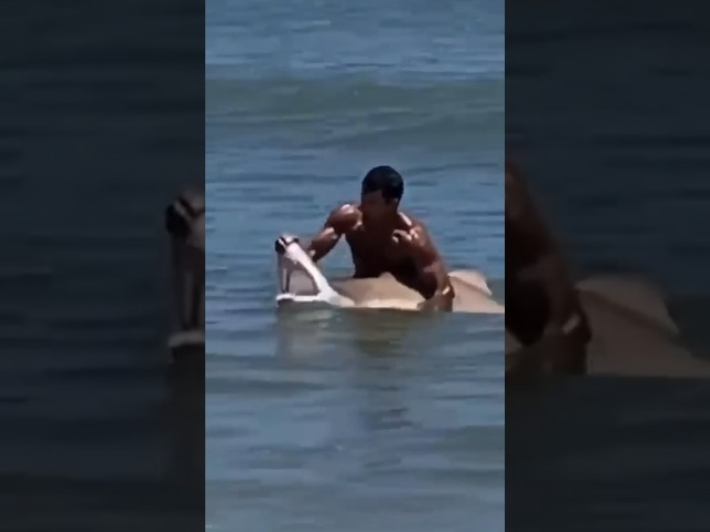Swimmer captures sharks off Delaware coast #shorts #shark