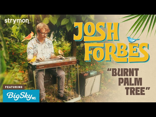 Strymon Engineer Josh Forbes Performs "Burnt Palm Tree" | Omnichord, Pedal Steel & BigSky MX