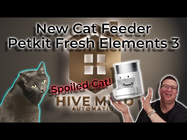 Spoiling the Cat with a new Petkit Smart Pet Feeder