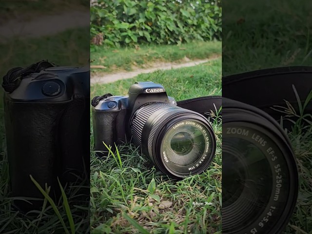 Canon 200D with 55-250mm photography Camera #dslr #canon #photography #nature #shortvideo