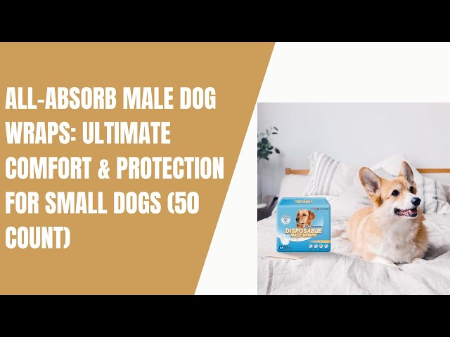 All-Absorb Male Dog Wraps: Ultimate Comfort & Protection for Small Dogs