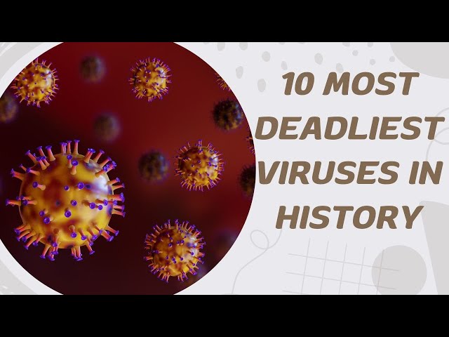 10 Most Deadliest Viruses In History