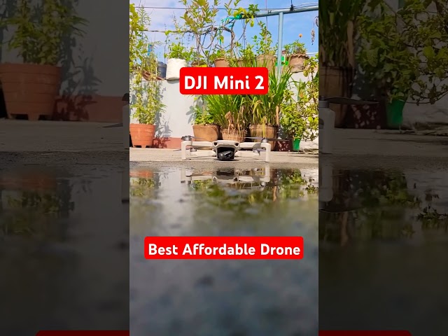 DJI Mini 2 Best Drone #dji #mini2 #djimini2 #drones
