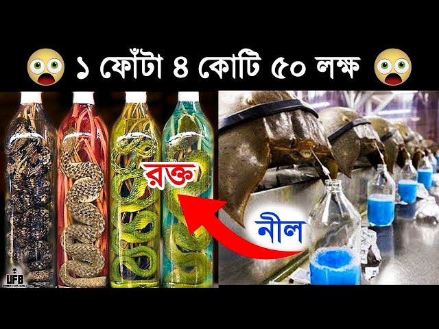 সবচেয়ে দামী তরল পদার্থ – যাদের দাম শুনলে অবাক হয়ে যাবেন || by Unknown Facts Bangla