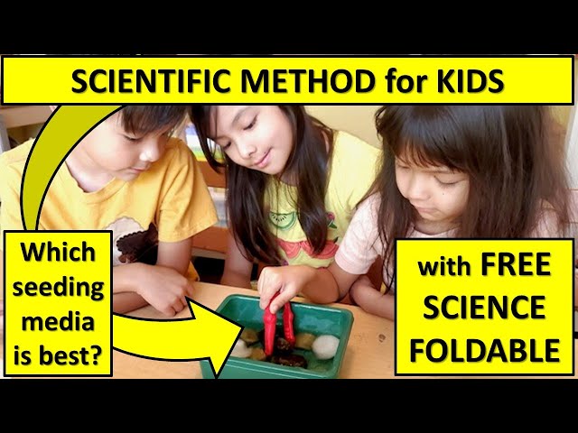 Scientific Method For Kids, FREE Science Foldable & FREE Science Notebook #ScienceFairProject