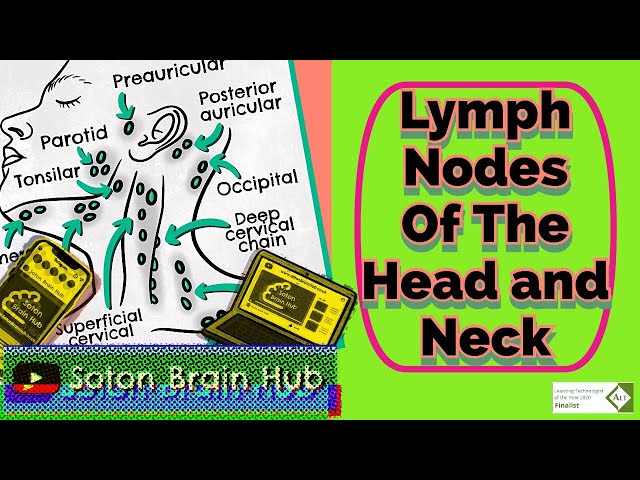 Lymph Nodes of The Head and Neck