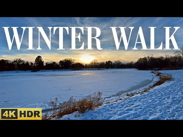 Winter Evening Walk in the Park with Calming Music | 4K HDR