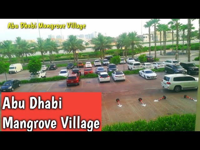 Abu Dhabi Mangrove Village _ United Arab Emirates Video _ Dubai Video 2019 _ Abu Dhabi Video 2019 _