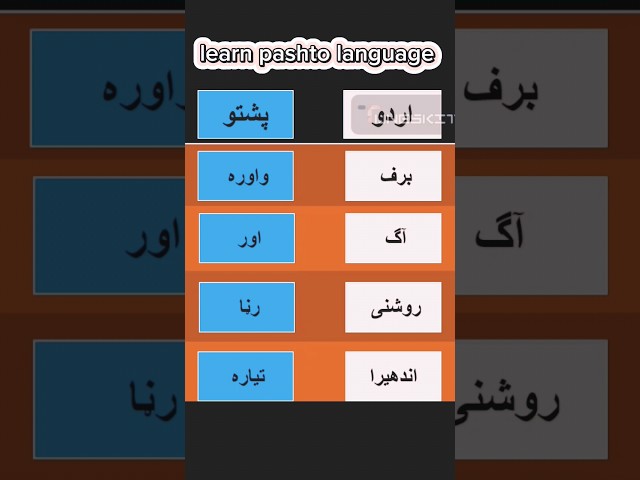 learn pashto vocabulary | learn languages | #pashtolearning #pashto #pashtolanguage