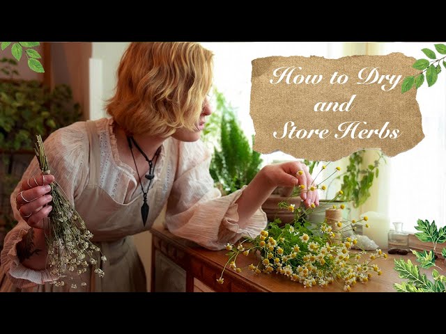 How to Dry and Store Herbs