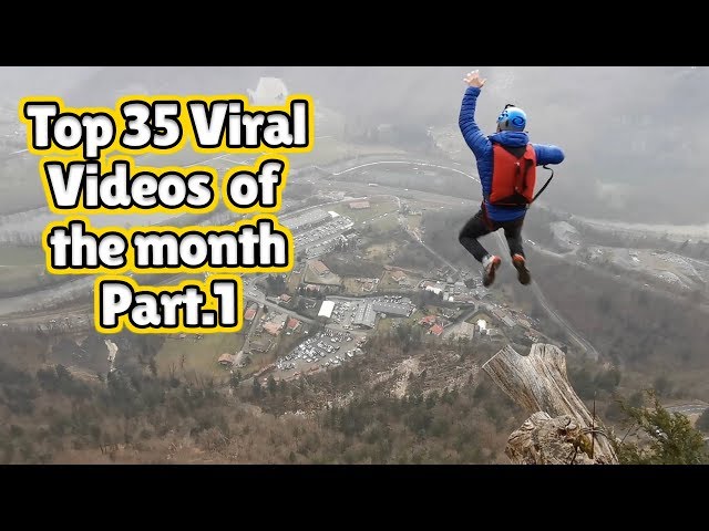 The Best Viral Videos Of The Month - May 2020 (Part 1)