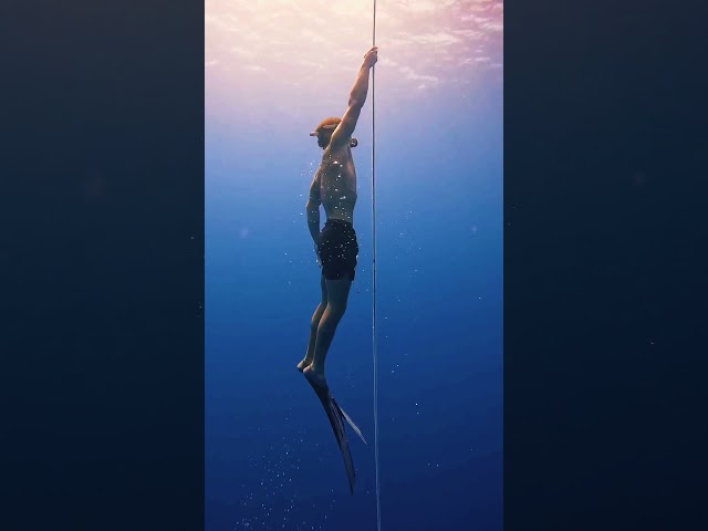 Diver is ascending up the line from a freedive!