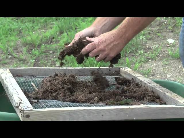 How to Home Compost