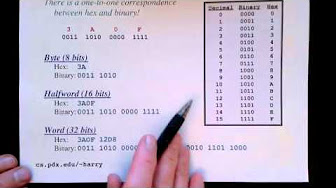 Binary Numbers and Data Representation