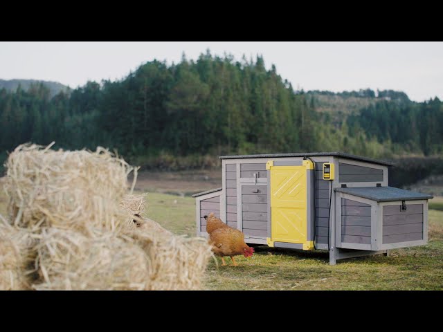 Aivituvin AIR101 Automatic Chicken Door, Solar Powered Auto Chicken Door