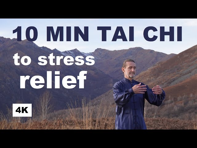 10 MIN OF TAI CHI AND QI GONG EXERCISES TO STRESS RELIEF