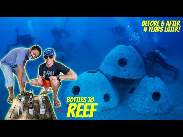 Creating & Installing ARTIFICIAL REEFS in the Philippines - (Before / After RESULTS)