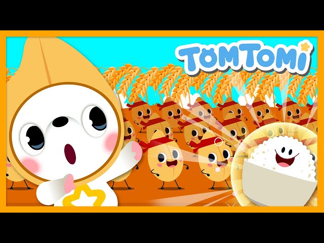 Mealtime Manners Song🍞🍚 | Good Habit Songs😊 | Kids Song | TOMTOMI