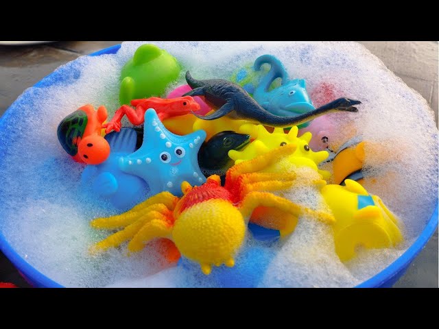 sea animals, sea creature, sea animals toys collection, aquatic animals, sea animals names