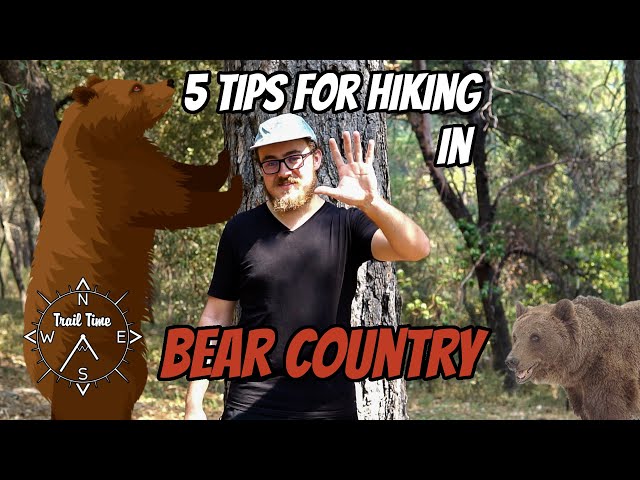 DON'T GET EATEN BY A BEAR! | 5 Tips for Hiking in Bear Country