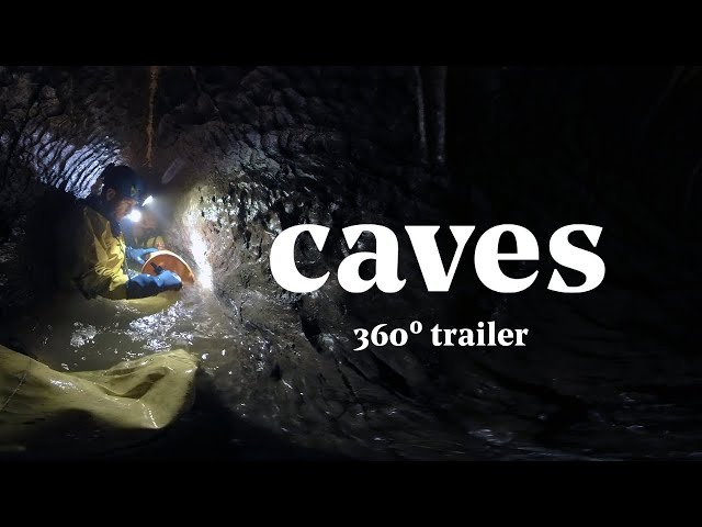 CAVES - 360 Trailer