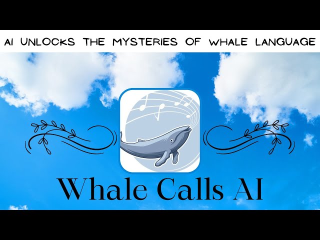 AI Cracks the Code : Demystifying the Language of Whales