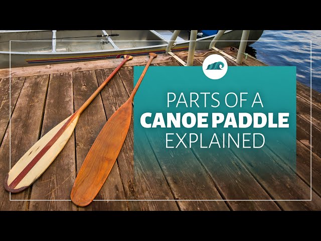 Parts Of A Canoe Paddle Explained