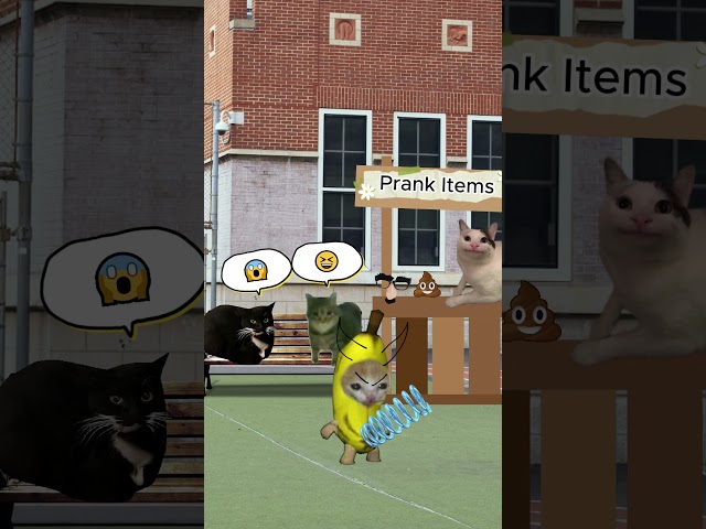 Banana Cat And Happy Cat School Day Part 8  #bananacat #happycat #elgato  #catvideos