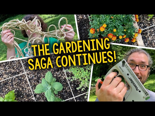 The Gardening Saga Continues: PART TWO – Planting Our Square Foot Garden