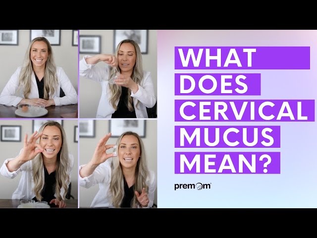 Types of Cervical Mucus - Demonstration on Hormones Impact on Your Fertility