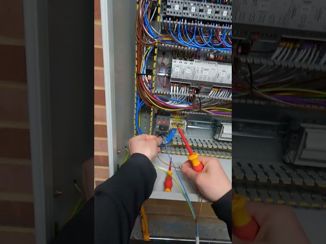What I do when I’m about to start testing an electrical control panel #electrical  #controlpanel