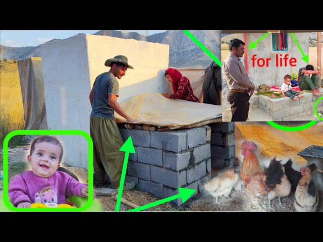 Ali and his family built a shed for their chickens and roosters | Nomadic Life 2024