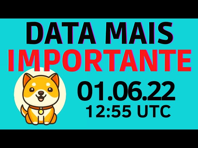 BABY DOGE | MOST IMPORTANT DATE OF THE PROJECT | LIQUIDITY RELEASE