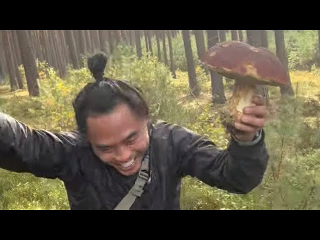 Edible Mushrooms “Houby” in Czech Forest w/ JD Cruz