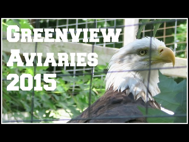 Greenview Aviaries