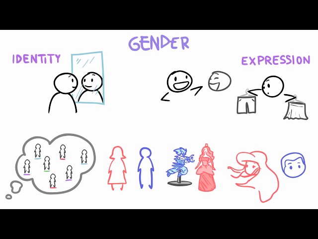 Sex vs Gender vs Orientation
