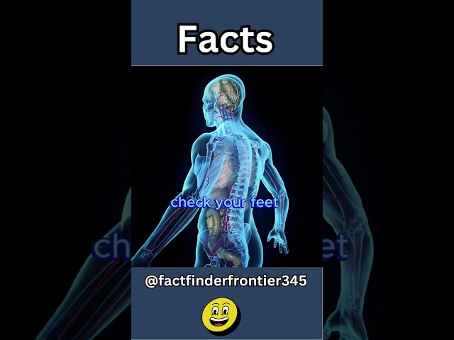 Here are amazing and interesting facts about Human body #facts