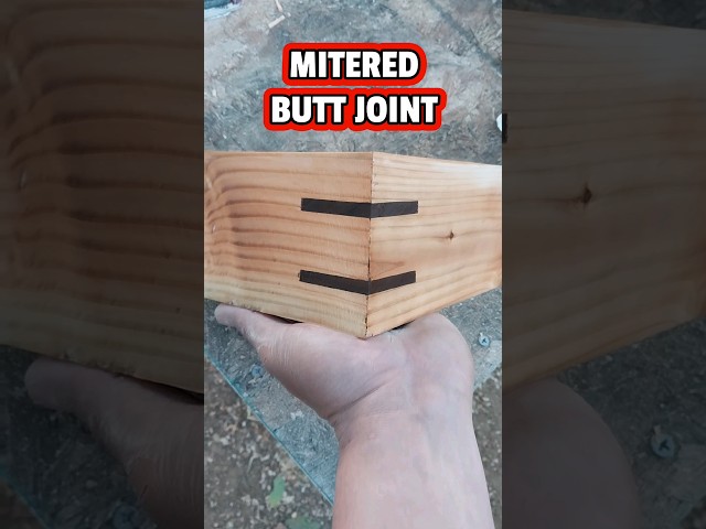 Mitered Butt Joint #shorts #japan #shortvideo