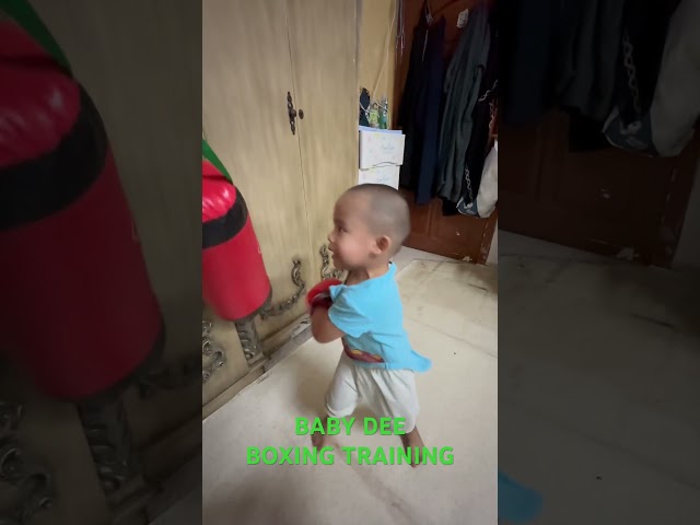 BABY DEE BOXING TRAINING | KNOCK OUT #shorts