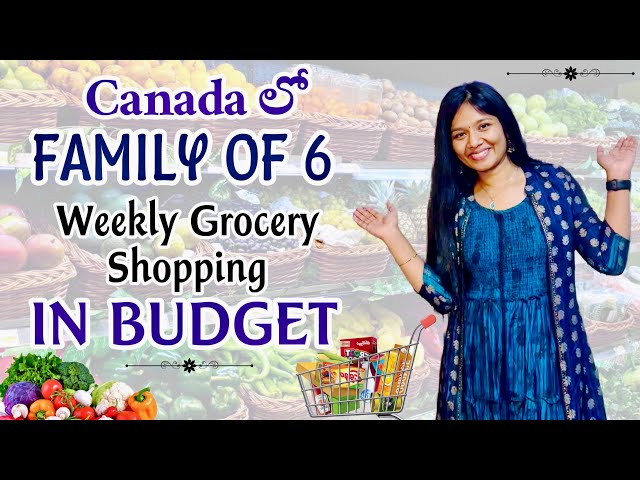 Canada లో Family Of 6 Weekly Grocery Shopping In Budget | Telugu Vlogs | SimplySwetha