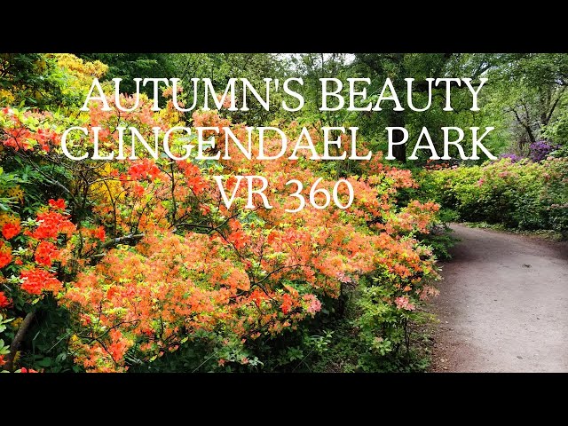 Découvrez la beauté de l'automne dans parc Clingendael à La Haye en réalité virtuelle à 360 degrés