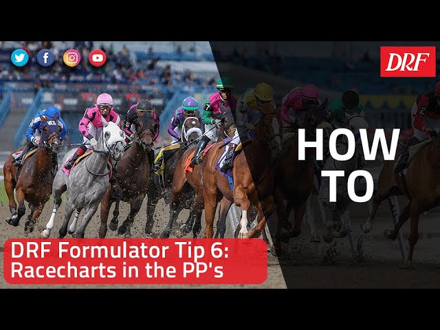 How To | DRF Formulator Tip 6 | Racecharts in the PP's